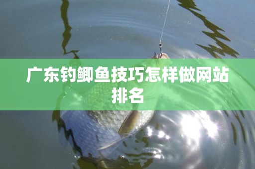 广东钓鲫鱼技巧怎样做网站排名