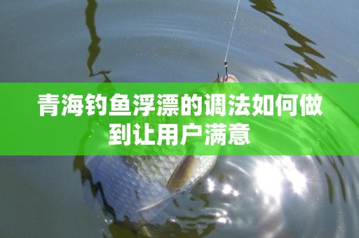 青海钓鱼浮漂的调法如何做到让用户满意