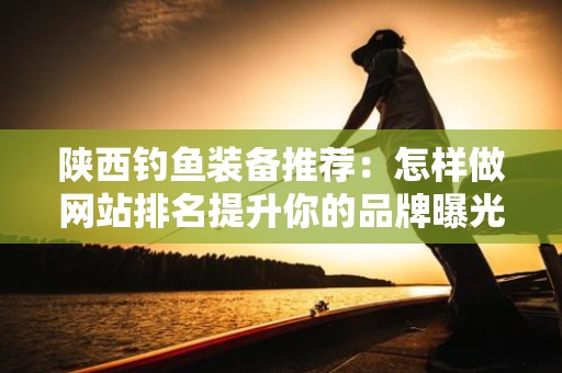 陕西钓鱼装备推荐：怎样做网站排名提升你的品牌曝光率？