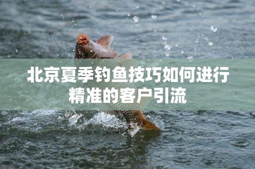 北京夏季钓鱼技巧如何进行精准的客户引流