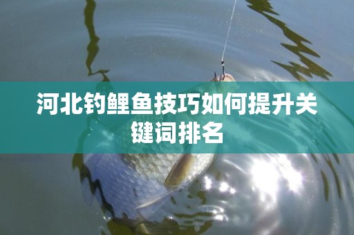 河北钓鲤鱼技巧如何提升关键词排名