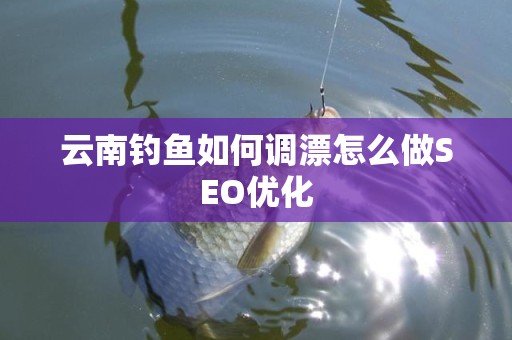 云南钓鱼如何调漂怎么做SEO优化