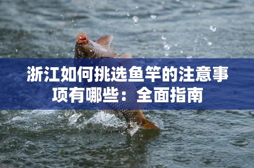浙江如何挑选鱼竿的注意事项有哪些：全面指南