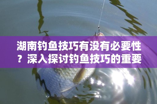 湖南钓鱼技巧有没有必要性？深入探讨钓鱼技巧的重要性