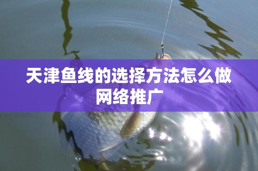 天津鱼线的选择方法怎么做网络推广