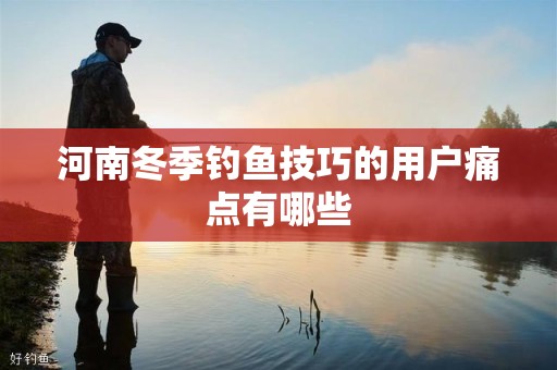 河南冬季钓鱼技巧的用户痛点有哪些