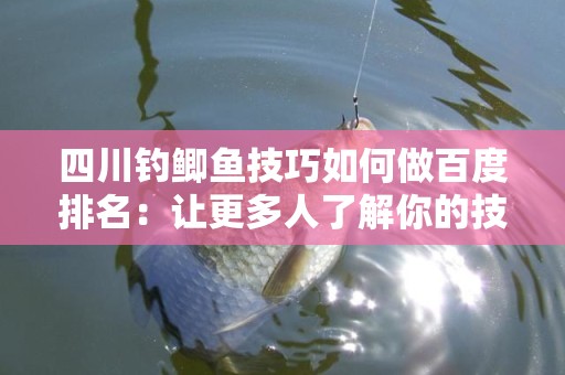 四川钓鲫鱼技巧如何做百度排名：让更多人了解你的技巧