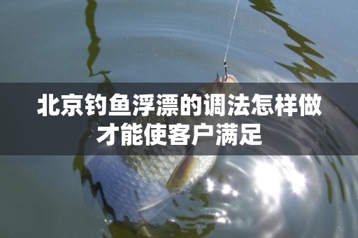 北京钓鱼浮漂的调法怎样做才能使客户满足