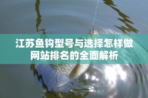 江苏鱼钩型号与选择怎样做网站排名的全面解析