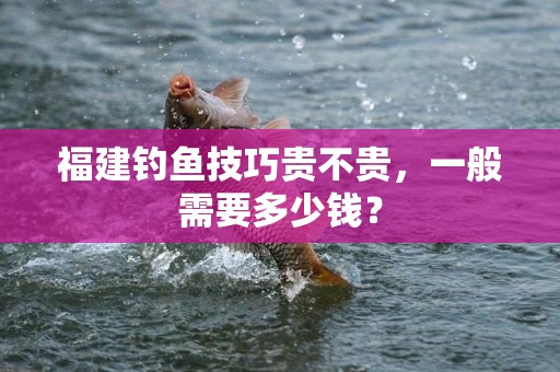 福建钓鱼技巧贵不贵，一般需要多少钱？