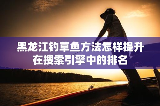 黑龙江钓草鱼方法怎样提升在搜索引擎中的排名