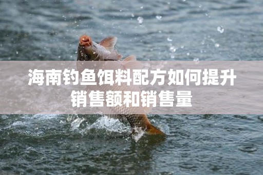 海南钓鱼饵料配方如何提升销售额和销售量