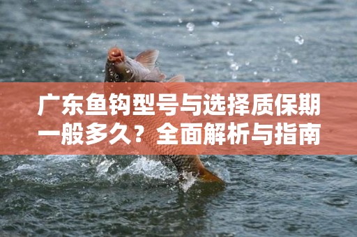 广东鱼钩型号与选择质保期一般多久？全面解析与指南