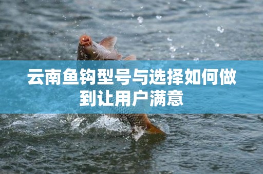 云南鱼钩型号与选择如何做到让用户满意