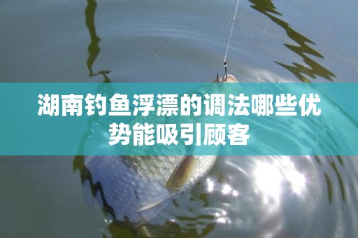 湖南钓鱼浮漂的调法哪些优势能吸引顾客