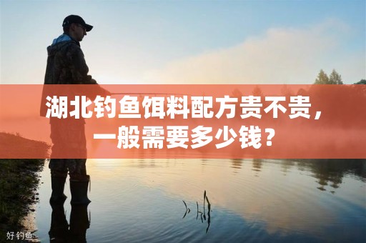 湖北钓鱼饵料配方贵不贵，一般需要多少钱？