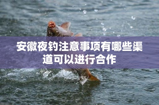 安徽夜钓注意事项有哪些渠道可以进行合作