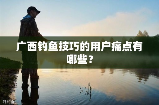 广西钓鱼技巧的用户痛点有哪些？