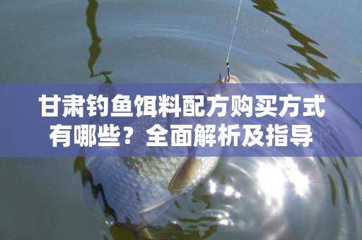 甘肃钓鱼饵料配方购买方式有哪些？全面解析及指导