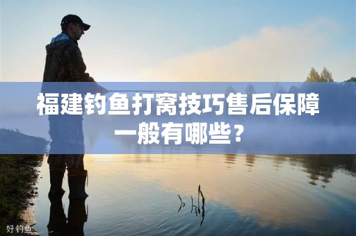 福建钓鱼打窝技巧售后保障一般有哪些？