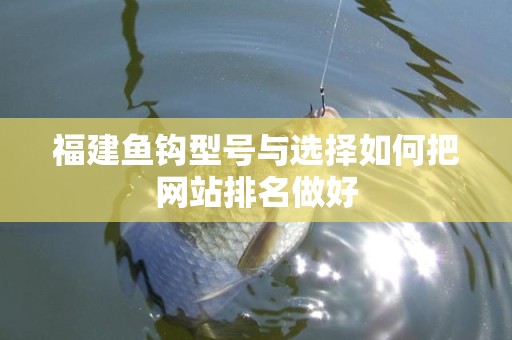 福建鱼钩型号与选择如何把网站排名做好