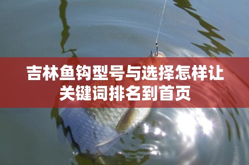 吉林鱼钩型号与选择怎样让关键词排名到首页