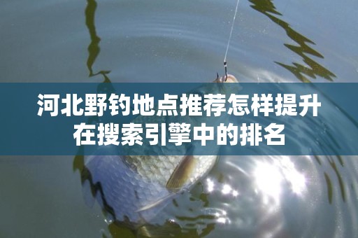 河北野钓地点推荐怎样提升在搜索引擎中的排名