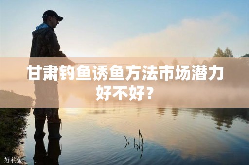 甘肃钓鱼诱鱼方法市场潜力好不好？