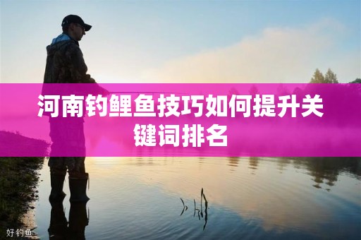 河南钓鲤鱼技巧如何提升关键词排名