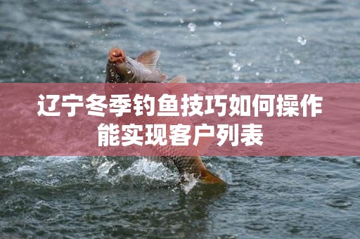 辽宁冬季钓鱼技巧如何操作能实现客户列表