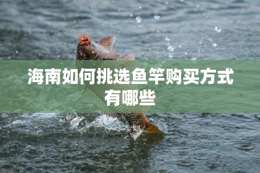 海南如何挑选鱼竿购买方式有哪些