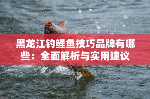 黑龙江钓鲤鱼技巧品牌有哪些：全面解析与实用建议
