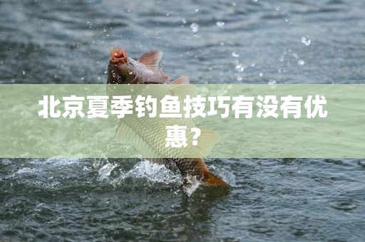 北京夏季钓鱼技巧有没有优惠？