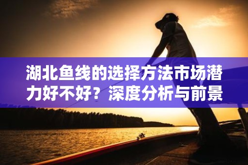 湖北鱼线的选择方法市场潜力好不好？深度分析与前景展望