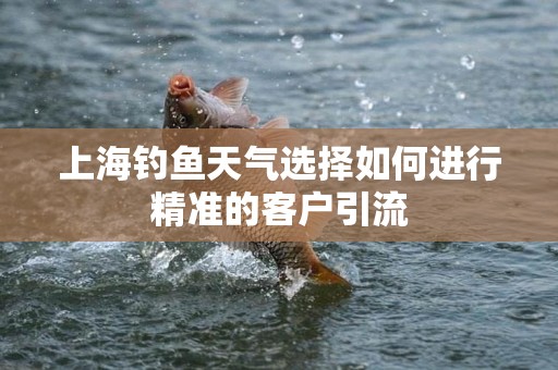 上海钓鱼天气选择如何进行精准的客户引流