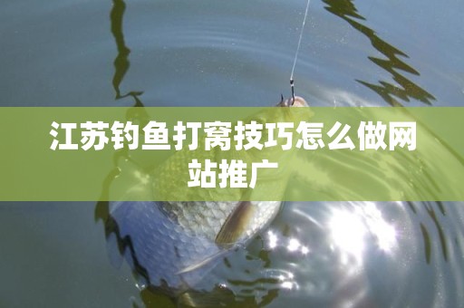 江苏钓鱼打窝技巧怎么做网站推广