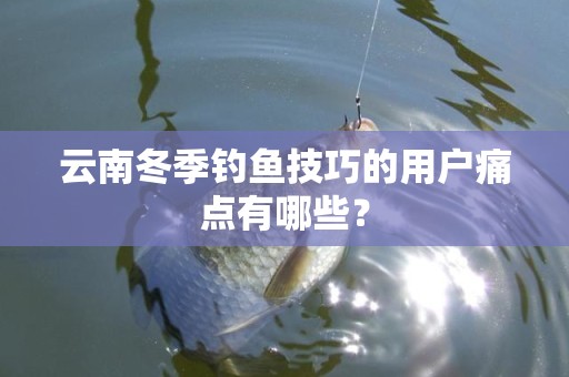云南冬季钓鱼技巧的用户痛点有哪些？