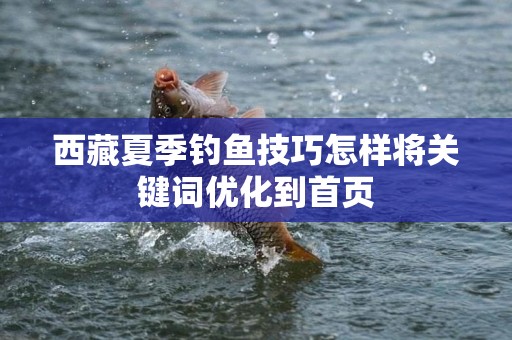 西藏夏季钓鱼技巧怎样将关键词优化到首页