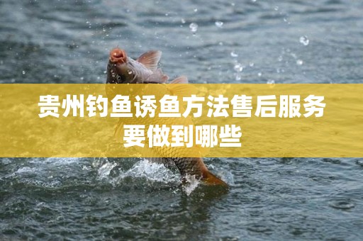 贵州钓鱼诱鱼方法售后服务要做到哪些