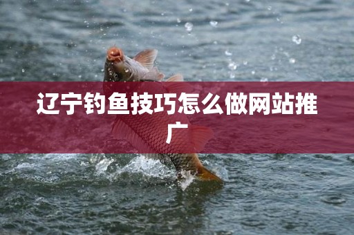 辽宁钓鱼技巧怎么做网站推广