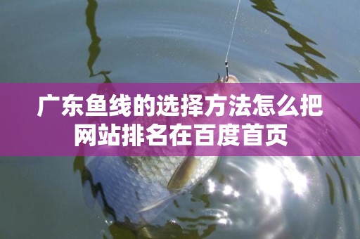 广东鱼线的选择方法怎么把网站排名在百度首页