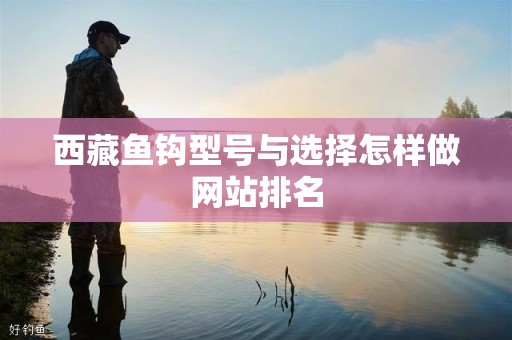 西藏鱼钩型号与选择怎样做网站排名