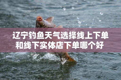 辽宁钓鱼天气选择线上下单和线下实体店下单哪个好 - 深入解析