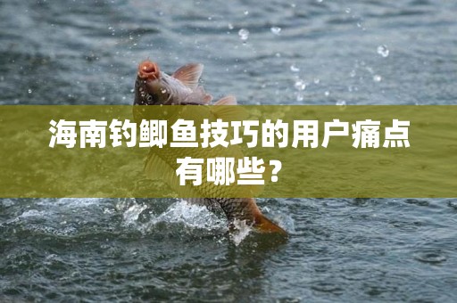 海南钓鲫鱼技巧的用户痛点有哪些？