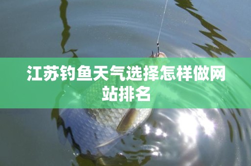 江苏钓鱼天气选择怎样做网站排名