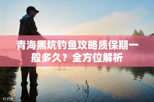 青海黑坑钓鱼攻略质保期一般多久？全方位解析