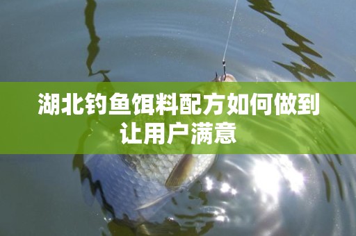 湖北钓鱼饵料配方如何做到让用户满意