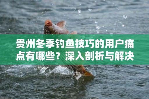 贵州冬季钓鱼技巧的用户痛点有哪些？深入剖析与解决方案