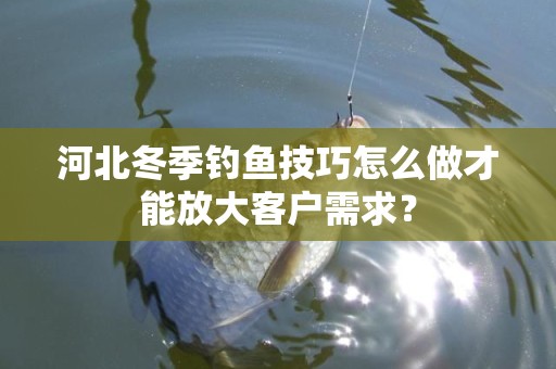 河北冬季钓鱼技巧怎么做才能放大客户需求？