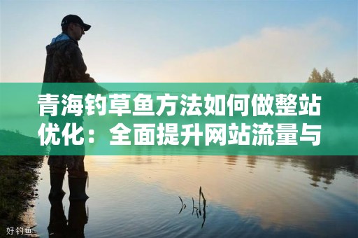 青海钓草鱼方法如何做整站优化：全面提升网站流量与排名